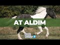 AT ALDIM! - FARMING SIMULATOR