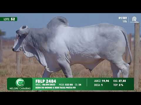 Lote 52   FBLP 2484