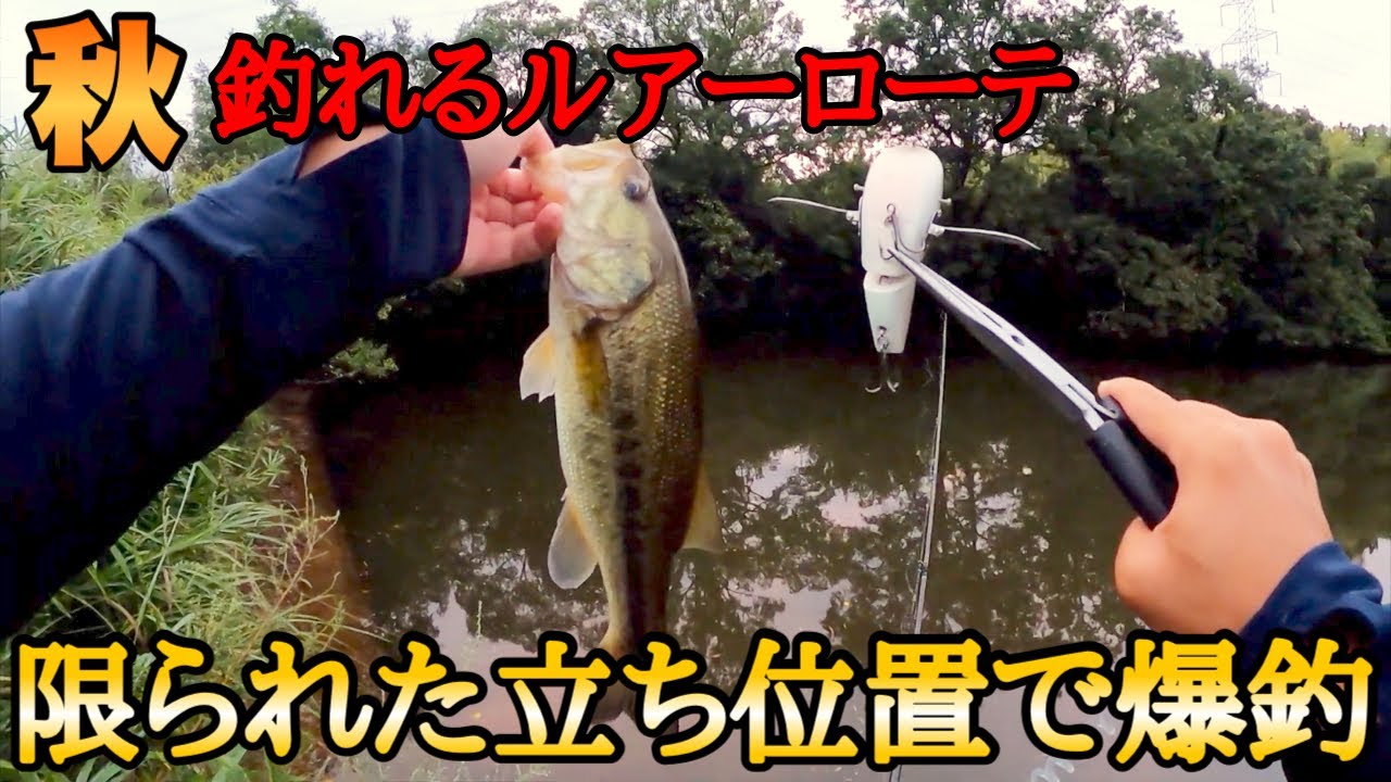 秋のバス釣り 思い通りに釣れすぎて怖かった Youtube