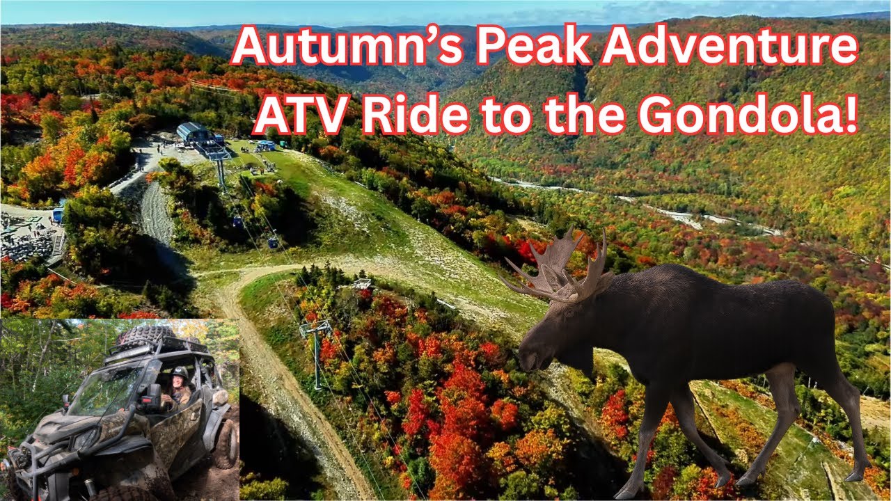 Пик приключений осени — поездка на квадроциклах к гондоле!