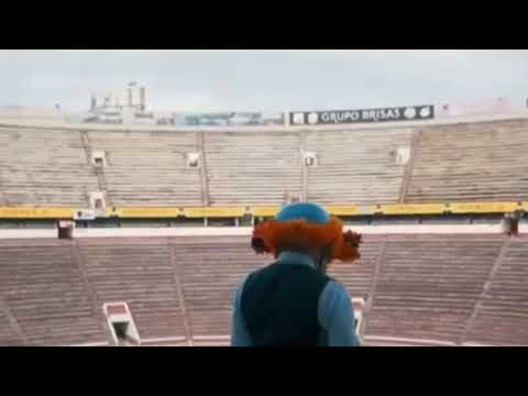 رقص بالشماريخ علي مهرجان رايحين النار فريق الاحلام 2019