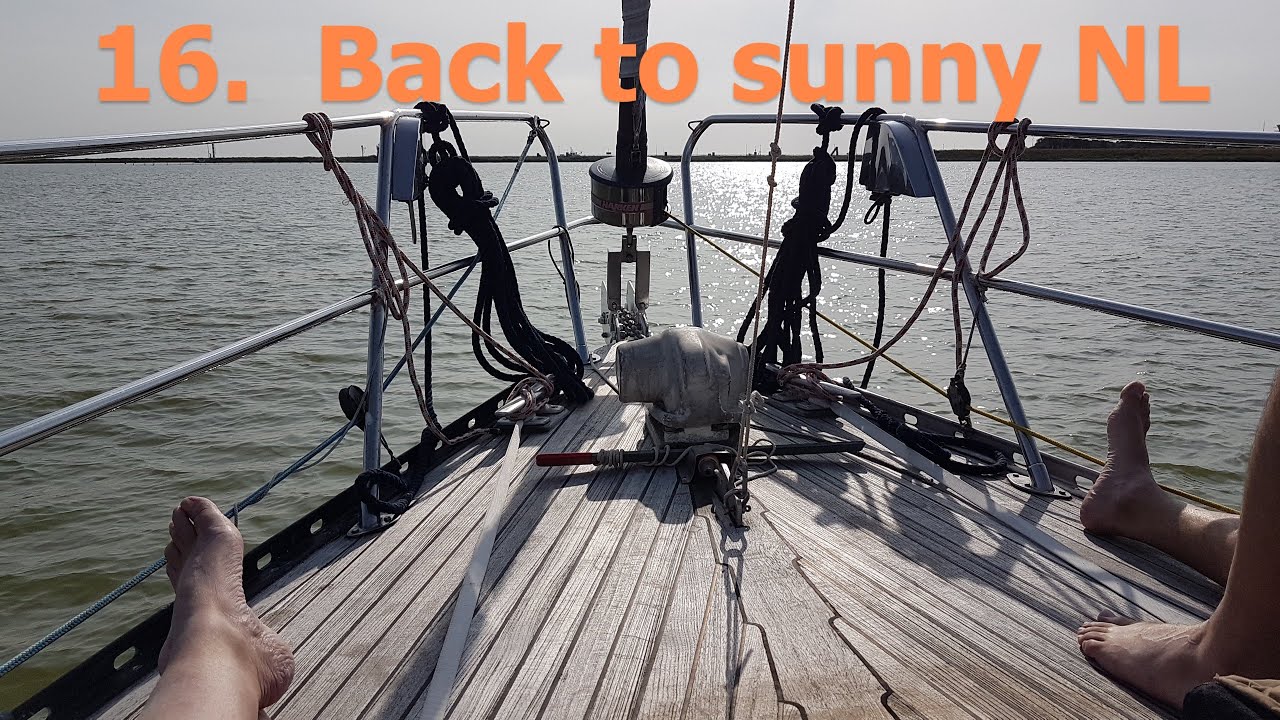 16 MAKE MY DAY  Back to sunny NL