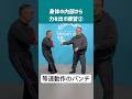 【太極拳の打法】身体の内部と動作を一致させてパンチを打つ基礎練習！〈岡山太極拳会〉