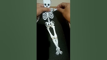 #moving skeleton project