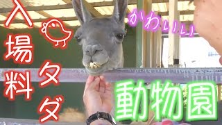 【沖縄】 タダで入れる動物園に行ってみた【孫六話】