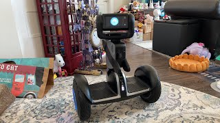 Jibo & Friends  Saturday Livestream (They See Me Rollin')