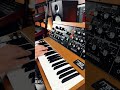 Rick Wakeman Catherine Of Aragon On A Moog Minimoog Rickwakeman Moog Shorts mp3