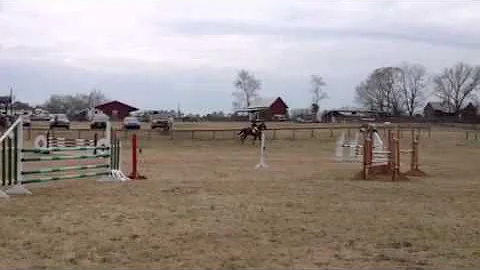 Amy Gilbertson SJ round on Honest at Pine Top HT's...