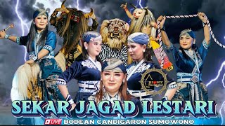 Download Lagu SPEKTAKULER...!! WAROK SJL | SEKAR JAGAD LESTARI temanggung live bodean candigaron sumowono MP3