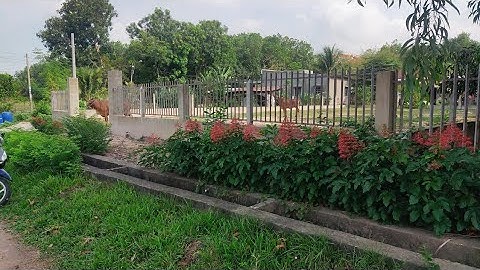 Đất thổ cư 22,5m x 36m đường nhựa Thái Mỹ gần Thị Trấn Củ Chi