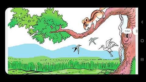 class 4 fields and forest