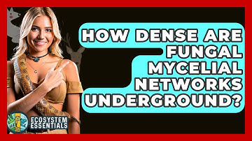 How Dense Are Fungal Mycelial Networks Underground? - Ecosystem Essentials
