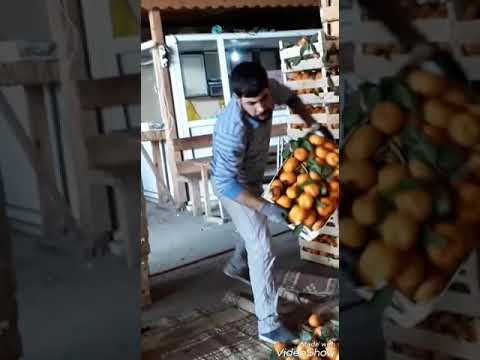 ملعون أبو الغربه 