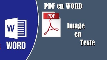 Convertir PDF en Word, Extraire le texte d