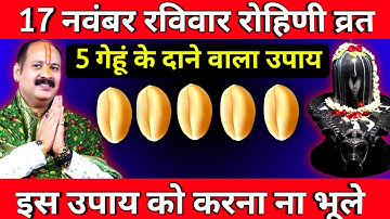 17 नवंबर रविवार रोहिणी व्रत के दिन 5 गेहूं के दाने वाला उपाय जरूर करें || Pradeep Ji Mishra
