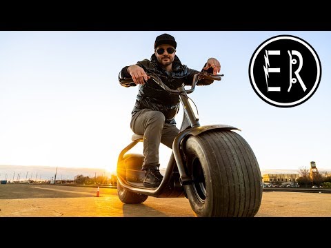 the TESLA of