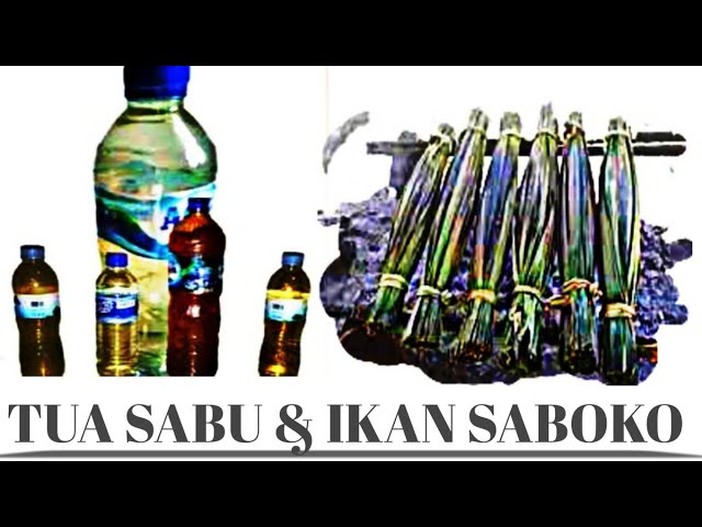 Tua Sabu & Ikan Saboko. class=