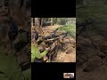 Mg34 shooting 