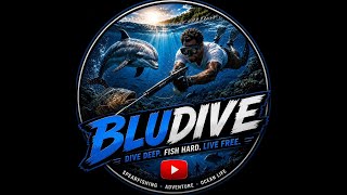 Bludive Song Lyrics 