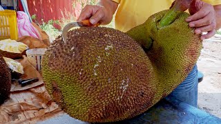 World's Largest FruitFresh Jackfruit Harvesting and Cutting Skills / 世界最大水果巨大波羅蜜採收和切割技巧