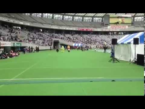 京王駅伝フェスティバル2014 ゆるキャラ50メートル走 【決勝】