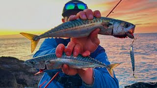 Fun Fishing - MACKEREL On light Spinning Tackle - Using Feathers and Jigging metals - Sea Fishing UK