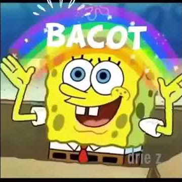 bacot spongebob