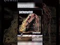 Incinerated - Goregrind Devastador desde Melbourne 🇦🇺