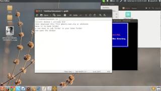 run Qbasic.exe on ubuntu/linux