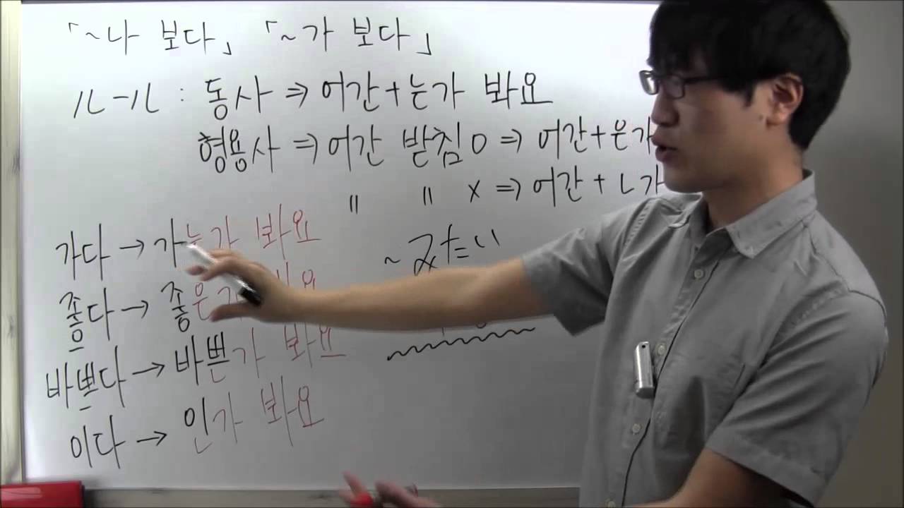 「나 보다」、「가 보다」について、レベル７