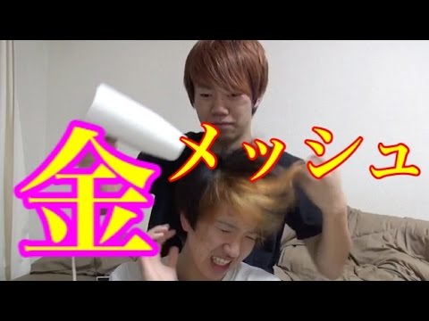 金メッシュ入れてみた するさん Youtube 金メッシュ入れてみた するさん Youtube