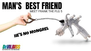 Devilbiss flg 5 meet Frank he's no mongrel