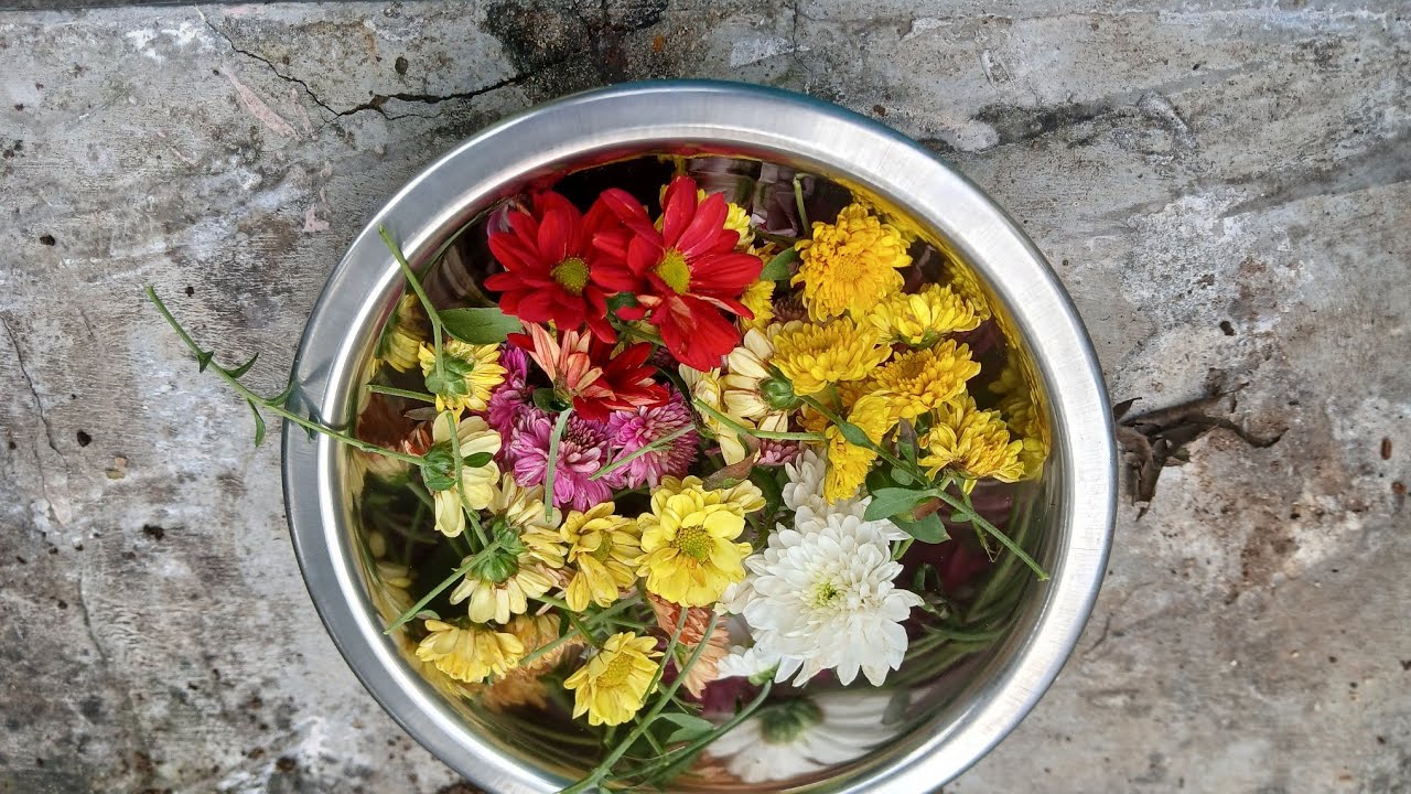 Small flower harvest  from my garden 