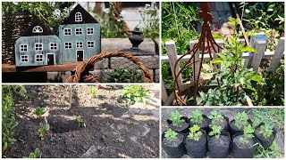 видео: Будни огородницы №9. Собака в цветнике🐕😱Считаю потери😢 Обновление в магазине на Озон. Бизнес-план😅🌱 картинка: Будни огородницы №9. Собака в цветнике🐕😱Считаю потери😢 Обновление в магазине на Озон. Бизнес-план😅🌱