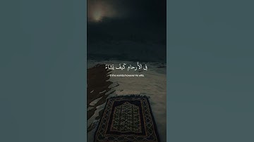 ﴿ إن الله لا يَخفى عليهِ شيء فِي الأرضِ ﴾ سوره آل عمران، عبدالرحمن مسعد #ارح قلبك #قران كريم