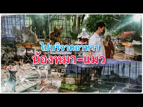 พาไปบริจาคอาหารน้องหมาแมว  | Vlog​ | CHUIMASHARE