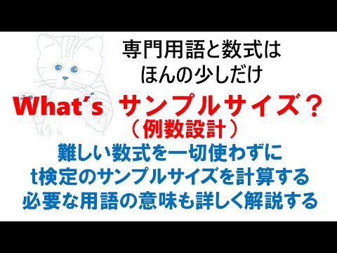 What&rsquo;s サンプルサイズ？：サンプルサイズ（例数設計）の基本的な考え方と用語を解説します