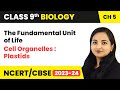 Cell Organelles : Plastids - The Fundamental Unit of Life | Class 9 Biology