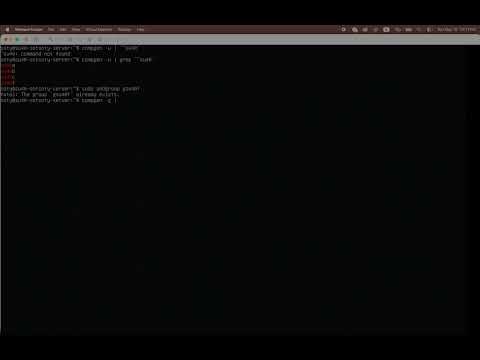 Final Topic LAB1: Set permission using chown and chmod - YouTube