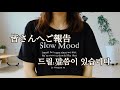 【ご報告】韓国を離れることになりました😢 Ep.135