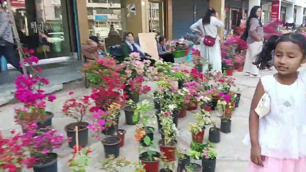 Supermarket laga  flower ase te