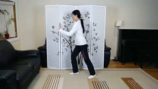 Tai Chi Yang Style 37 Form - First 26 Movements in Mirror Image