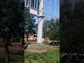 Tahmeed bus passing through Kisumu