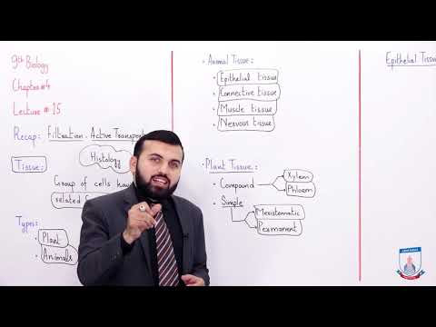 Class 9 -