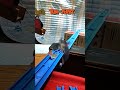トムとジェリー「なかよし」再現 #Shorts #tomandjerry #トムとジェリー