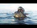 4K Indonesia spearfishing travel - Life as a fisherman