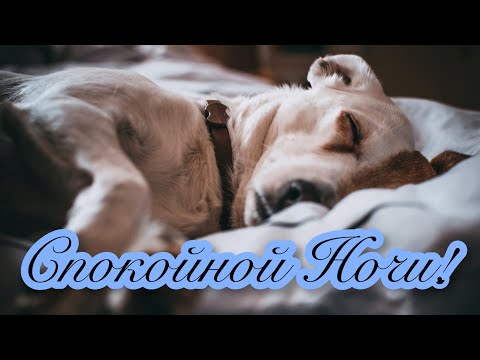 🌃🌜СПОКОЙНОЙ И ДОБРОЙ НОЧИ!🌛🌃