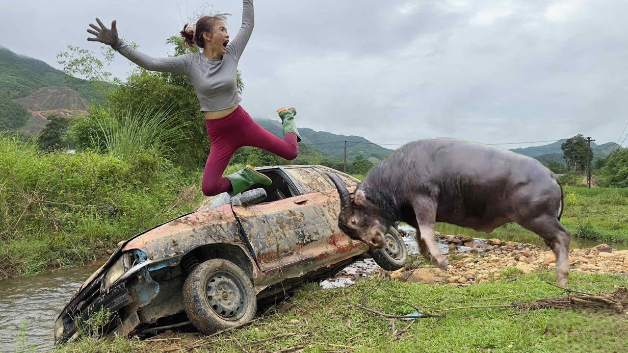 Amazed by the girl's strength. Leveling the ground to build a new project | Camping / Survival