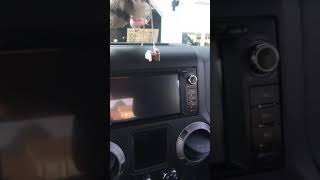 2015 Wrangler Android 7 screen display issue screenshot 4