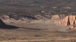 2014 Silver King Highway Nuisance Wild Horse Gather